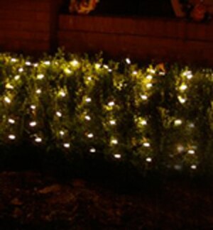 warm-white-led-net-lbg.jpg