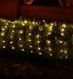 warm-white-led-net-lights-g.jpg