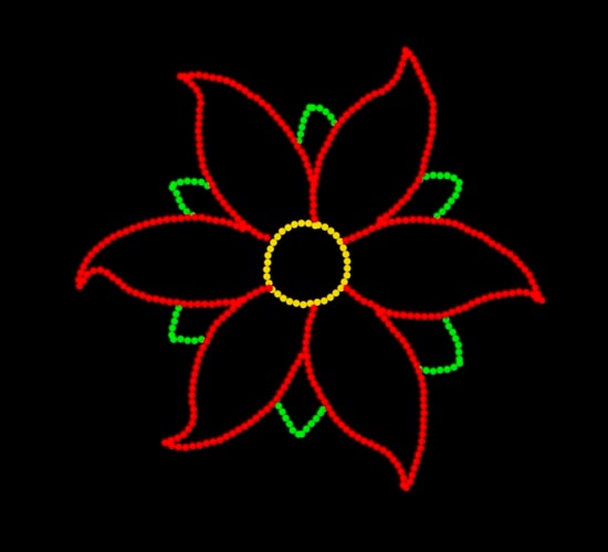 Big Poinsettia.jpeg