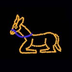 DONKEY
