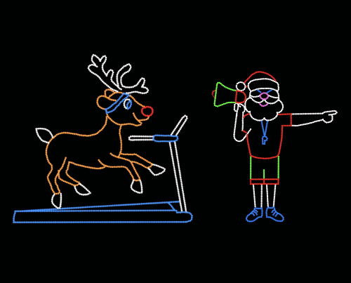 REINDEER TRAINING