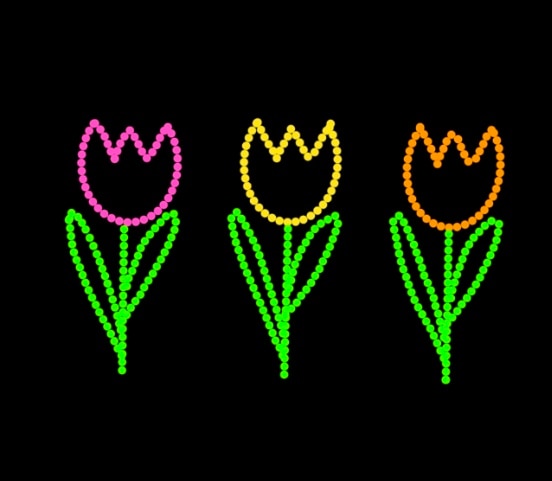 Tulips Fix.jpeg
