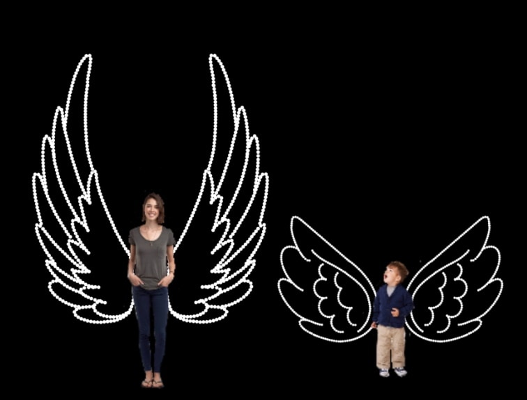 ANGEL WINGS SET