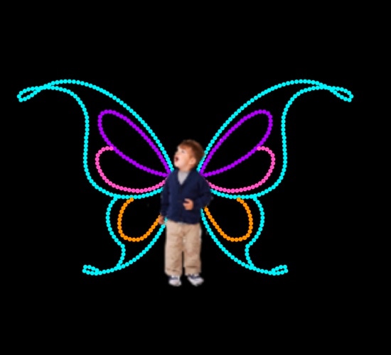 BUTTERFLY WINGS CHILD SIZE