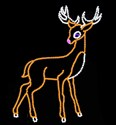 GRACEFUL BUCK