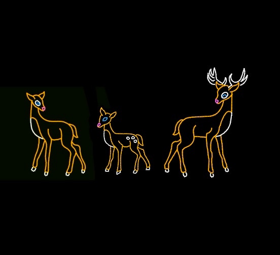 graceful deer.jpg