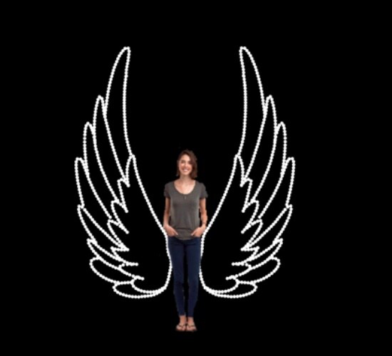 ANGEL WINGS LARGE