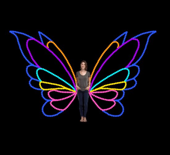 BUTTERFLY WINGS LARGE