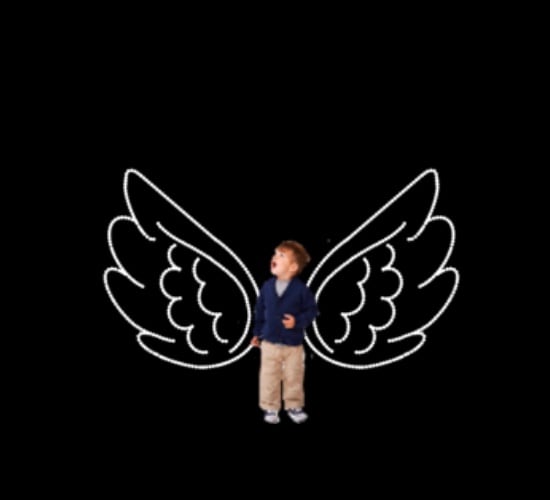 ANGEL WINGS CHILD SIZE